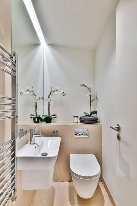 Knightsbridge/chelsea Penthouse Apartament